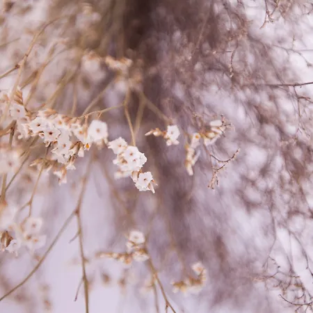 Youropo - Typical House