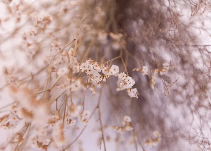 Apartament Youropo - Typical House