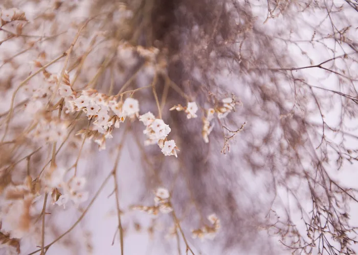 Youropo - Typical House