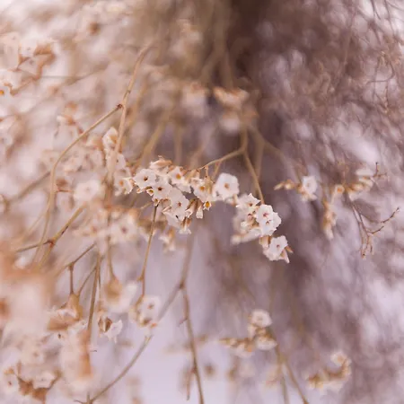 Апартаменты Youropo - Typical House